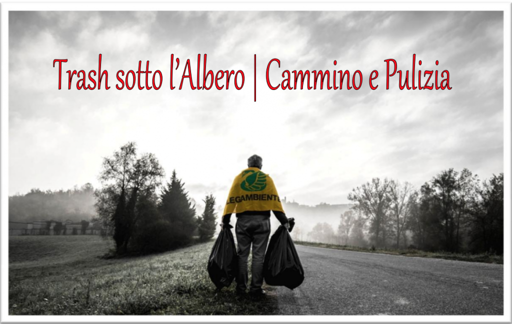 Trash sotto l'albero